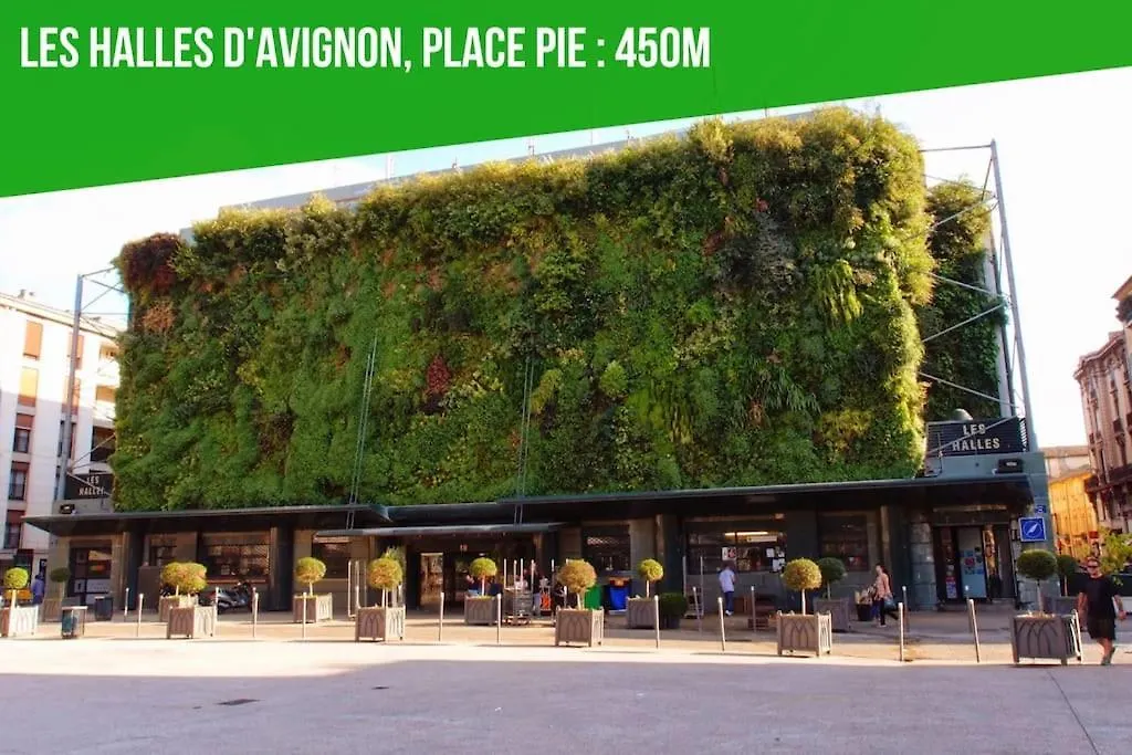 La Terrasse Des Carmes - Terrasse - Ac Clim - Spacieux Avignon